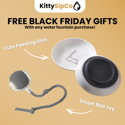 KittySipCo Water Fountain