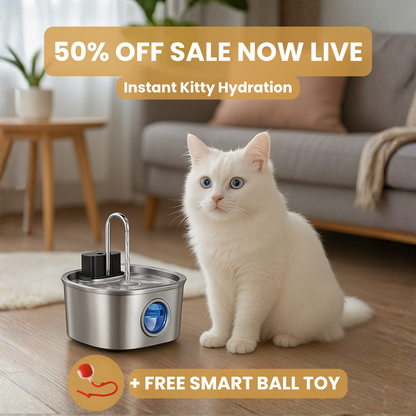 KittySipCo Water Fountain
