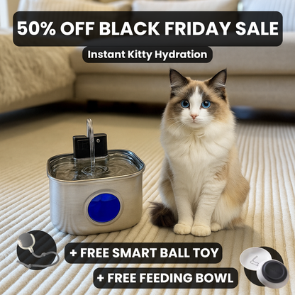 KittySipCo Water Fountain