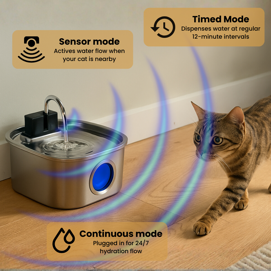 KittySipCo Water Fountain