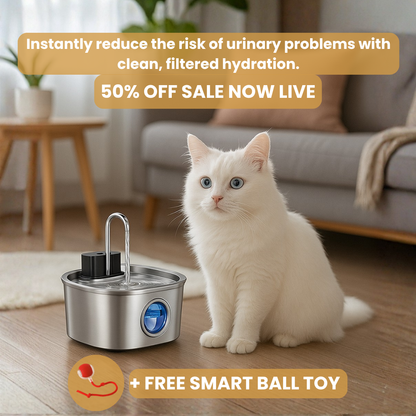 KittySipCo Water Fountain