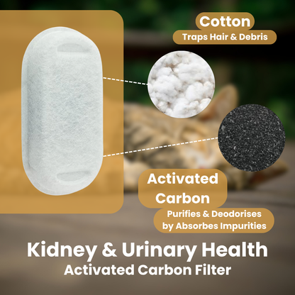 KittySipCo Water Fountain